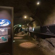 Ausstellung zum ehemaligen Korallenriff im HöhlenErlebnisZentrum
